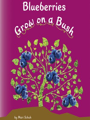 cover image of Blueberries Grow on a Bush